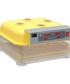 Automatic 48-Egg Incubator
