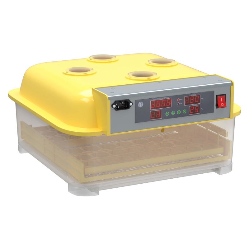 "Automatic 48-egg incubator and brooder with 4 observation windows for poultry hatching and chick care"
