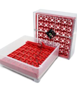 Automatic Breeding Machine 72 Eggs WQ-72 Incubator