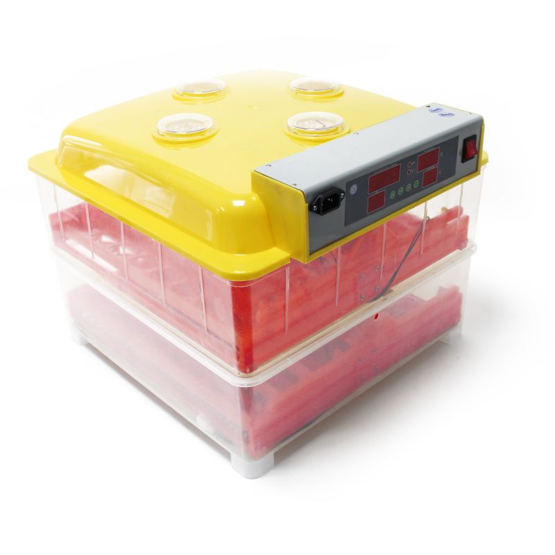 "WQ-72 Automatic Breeding Machine incubator for 72 eggs with digital temperature control and automatic egg turning for poultry hatching."