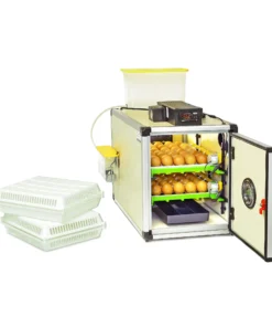 CT60 SH – Egg Incubator – Setter & Hatcher