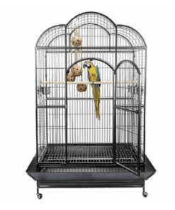Liberta Atlantis Large Dome Top Parrot Cage