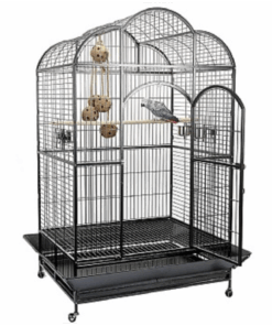 Liberta Atlantis Large Dome Top Parrot Cage