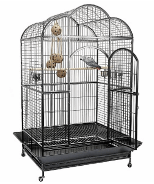 “Liberta Atlantis large dome top parrot cage with spacious design, strong metal bars, multiple feeding doors, and play-top area for parrots.”