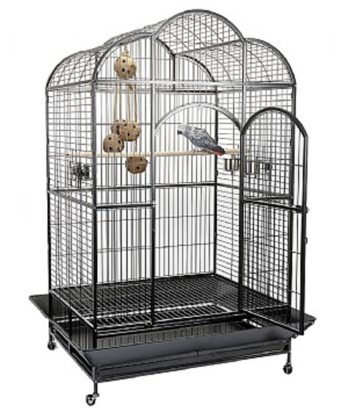 “Liberta Atlantis large dome top parrot cage with spacious design, strong metal bars, multiple feeding doors, and play-top area for parrots.”