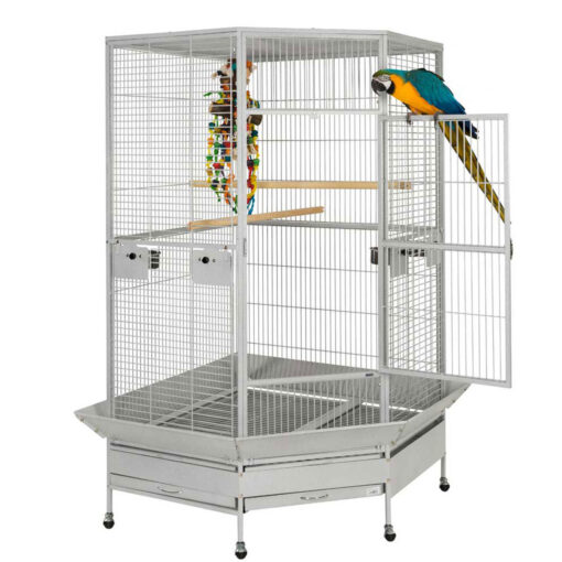 Raleigh Large Solid Top Corner Parrot Cage Liberta 2nd Edition - Image 2